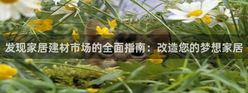 UG环球视讯官网