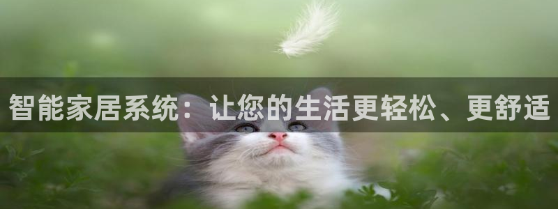 ug环球正网买分