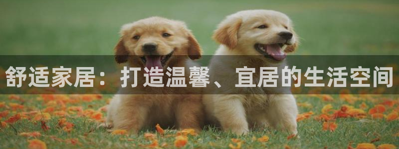 ug环球国际360