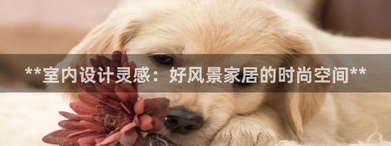 ug环球官网代理