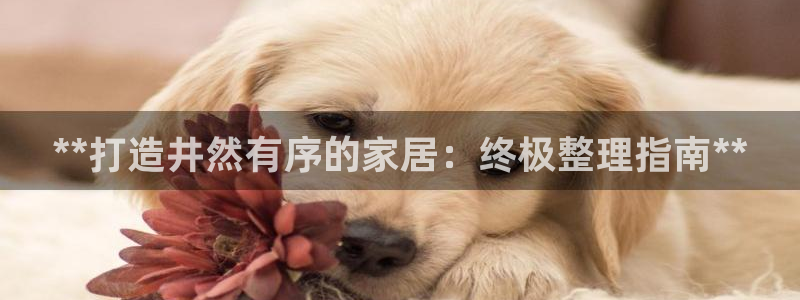 ug环球官网开户