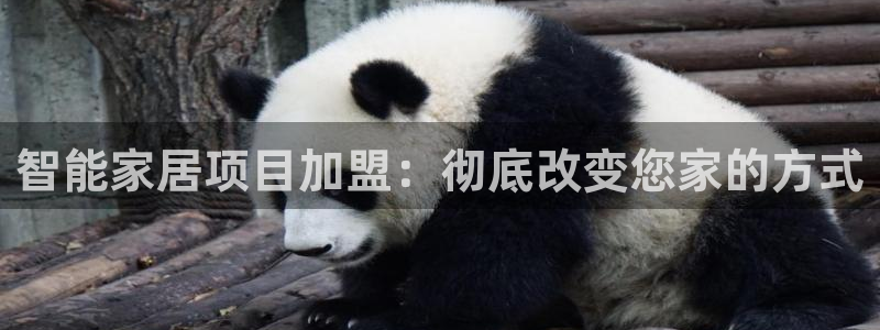 ug环球官网会员登录