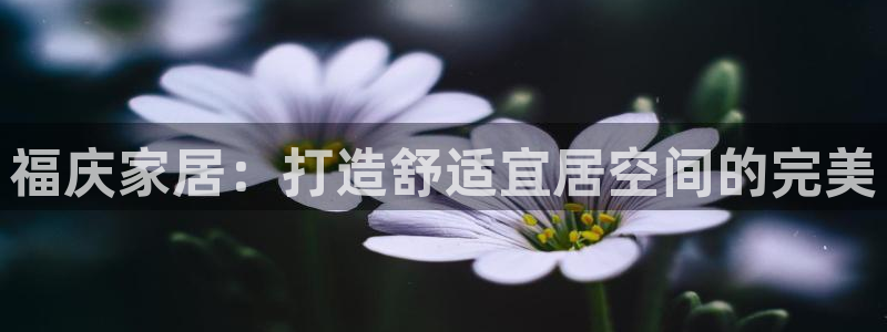 ug环球代理合作