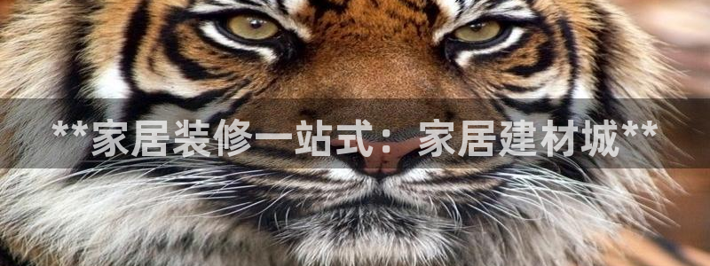 ug环球正网开户