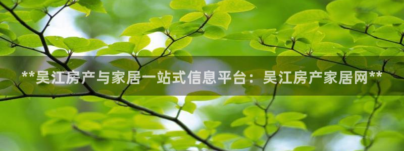 ug环球正网