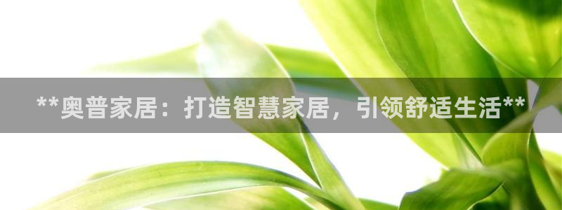 UG环球代理