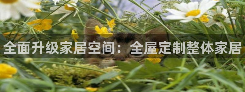 ug环球官网会员