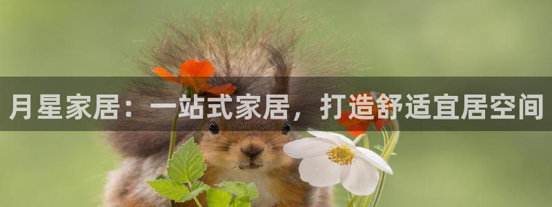 ug环球360