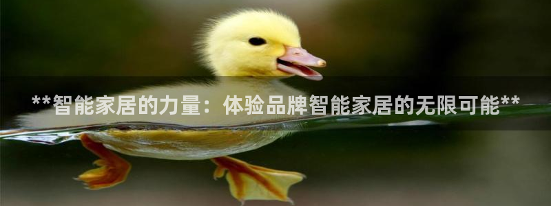 ug环球代理合作