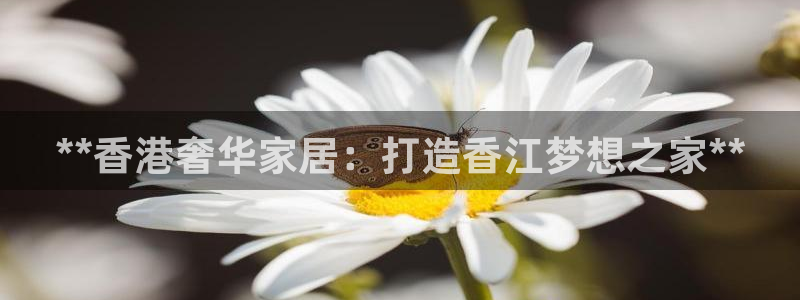 UG环球代理