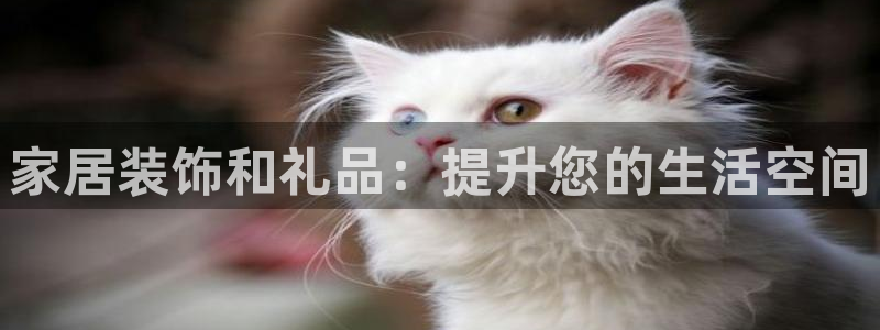 ug环球视讯