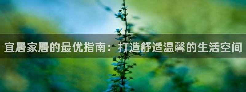 环球国际ug