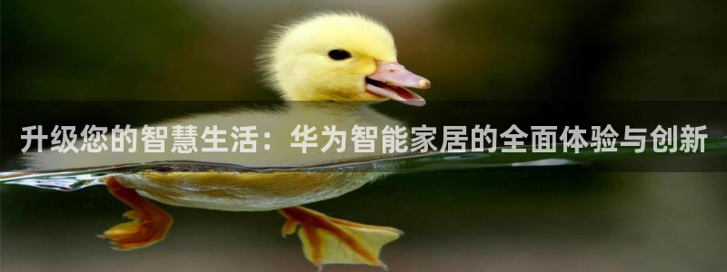ug环球会员官方客服电话