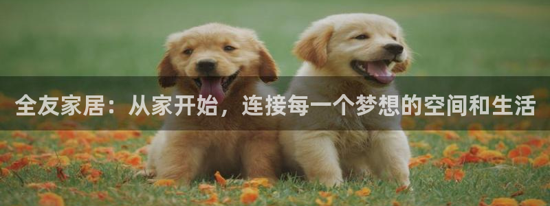 UG环球会员官方