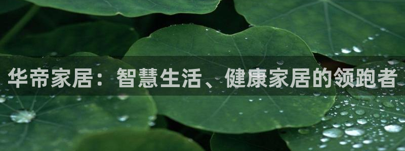 ug环球正网开户