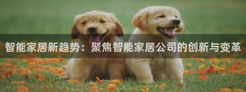 ug环球视讯真假