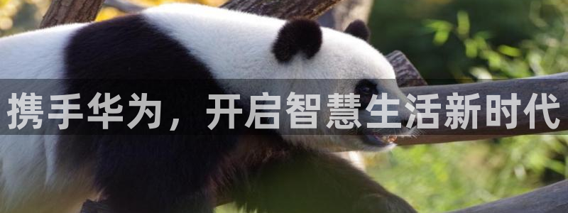 ug环球官网环球360