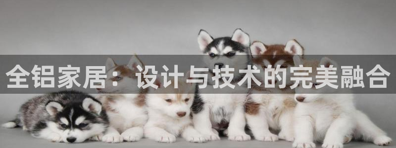 UG环球视讯