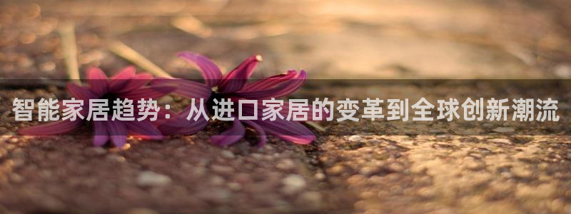 ug环球官网会员
