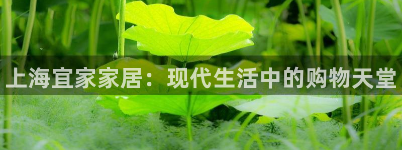 UG环球假线一比一