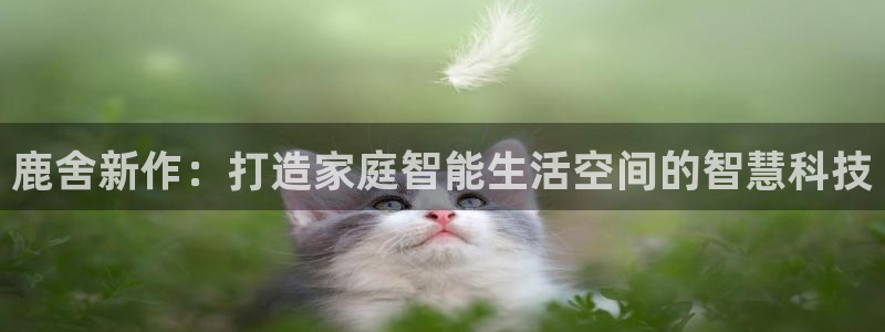 ug环球视讯官网