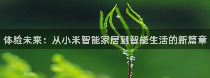 ug环球代理平台