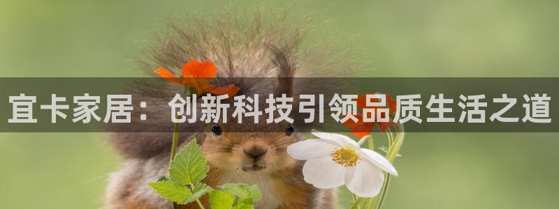 UG环球假网一比一包杀网