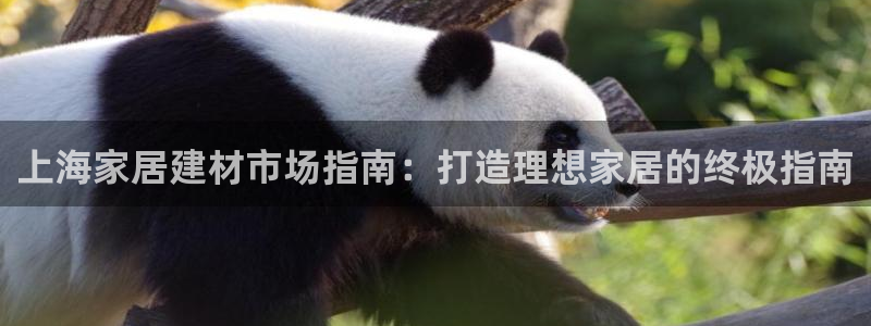 ug环球会员手机版下载官网