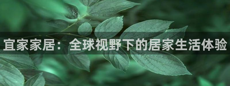 ug环球会员官网