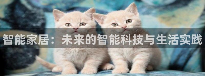 ug环球包杀网一比一