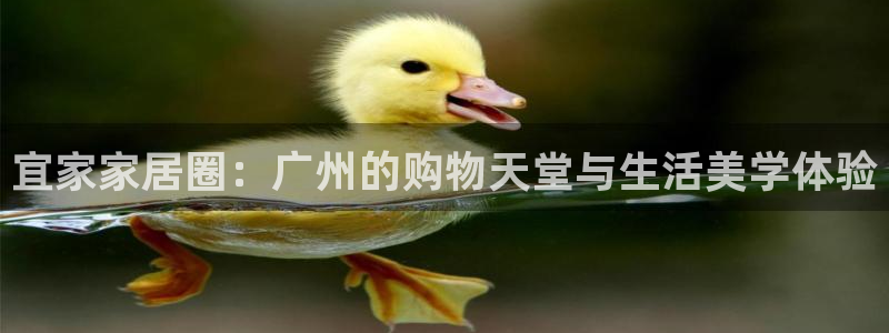 ug环球官网代理