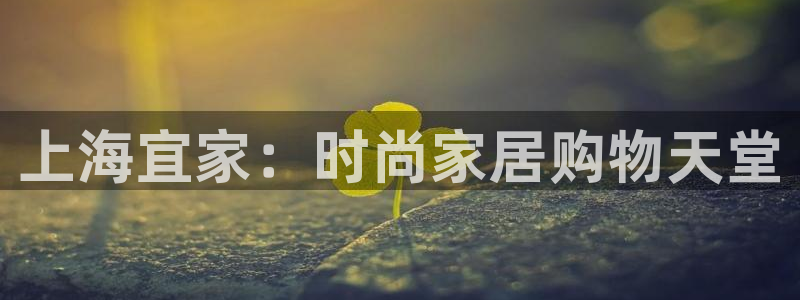 ug环球会员手机版下载