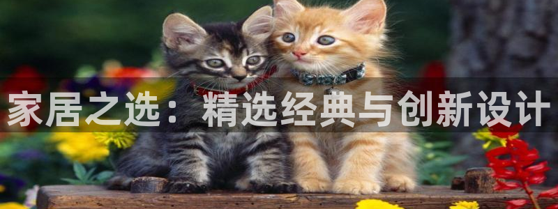 ug环球会员登陆