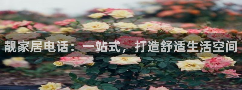 UG环球会员官方