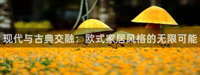 ug环球正网买分